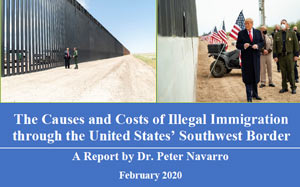 Illegal Immigration: Report