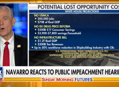 FBN: Peter Navarro breaks down the opportunity costs of impeachment
