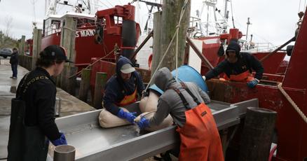 Trump’s fishing reforms hit home in Cape May: Navarro