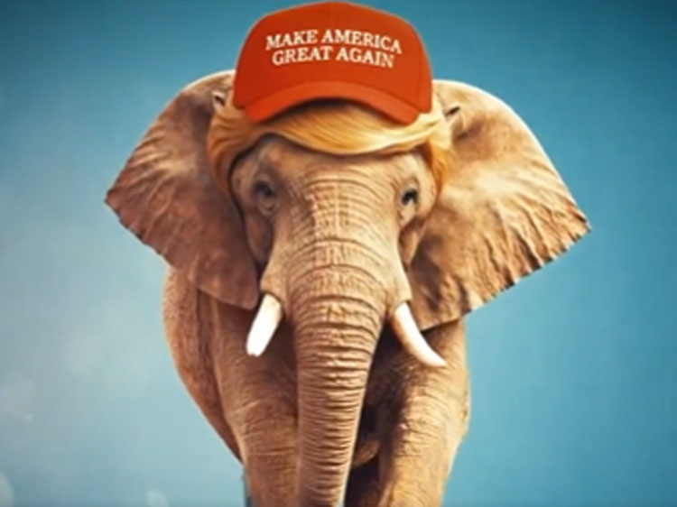 Follow the Money In the Census: MAGA Is the New Working Class Party