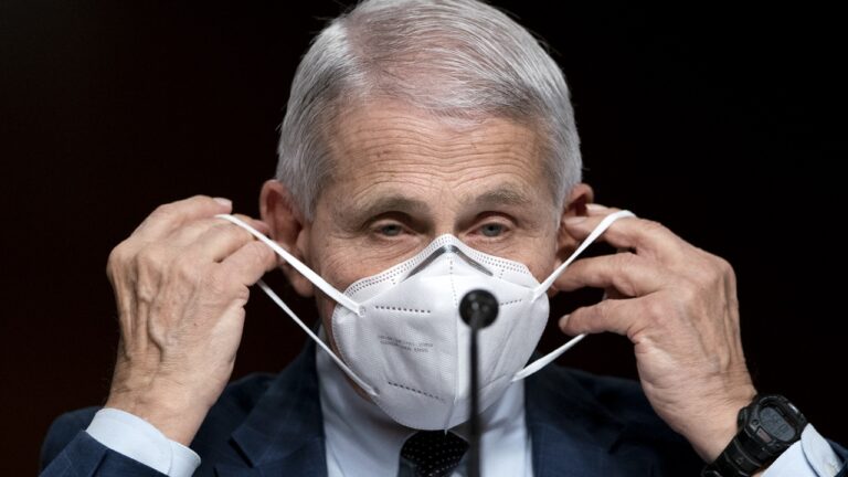 The Masks Were Never About Science